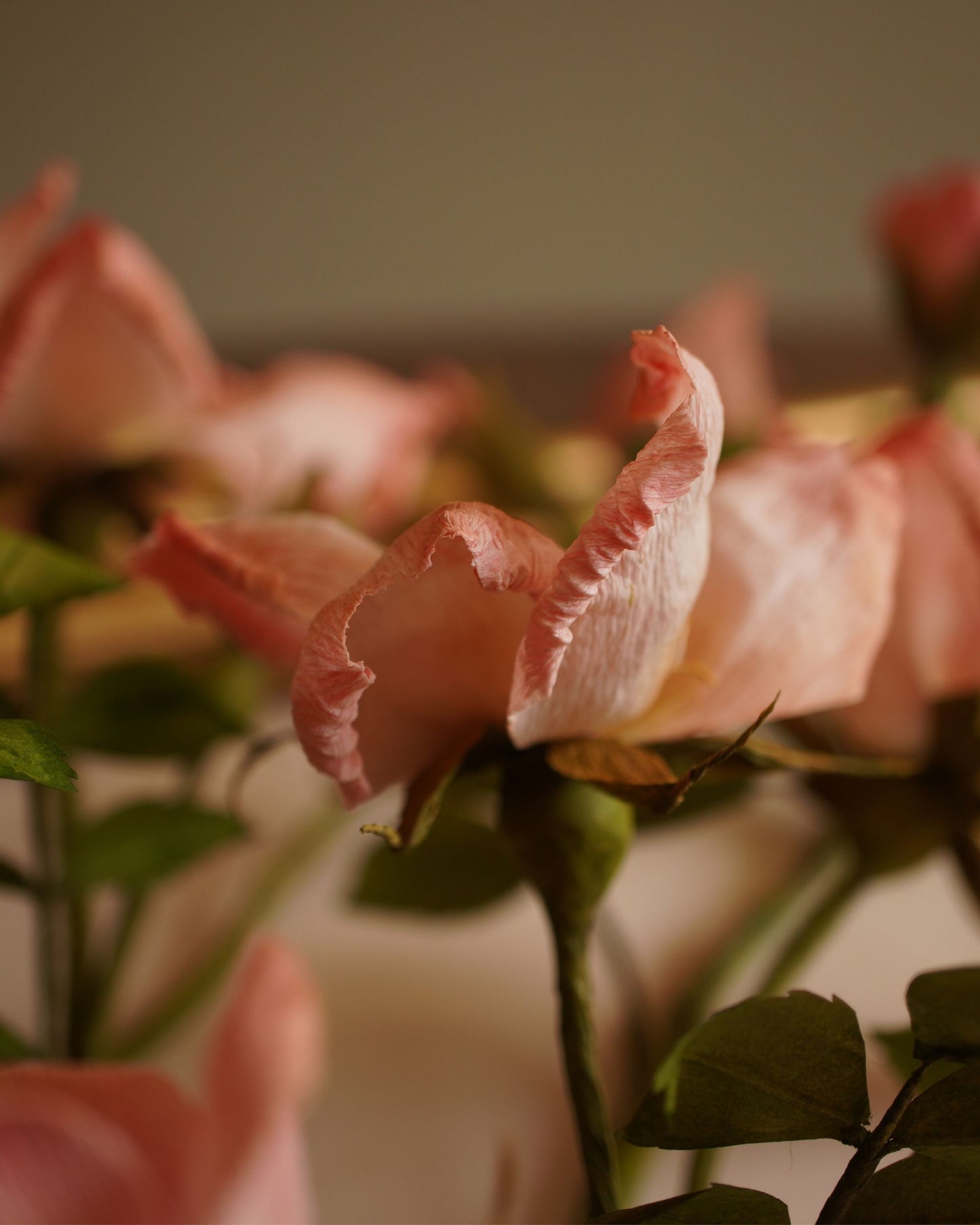 Side profile of a pink paper rose showing curved petals and natural form