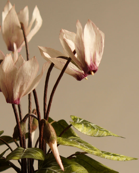 Close-up of handmade paper cyclamen flowers showing curved petals and soft colour variation