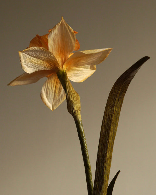 rear view of handcrafted paper daffodil showing stem detail