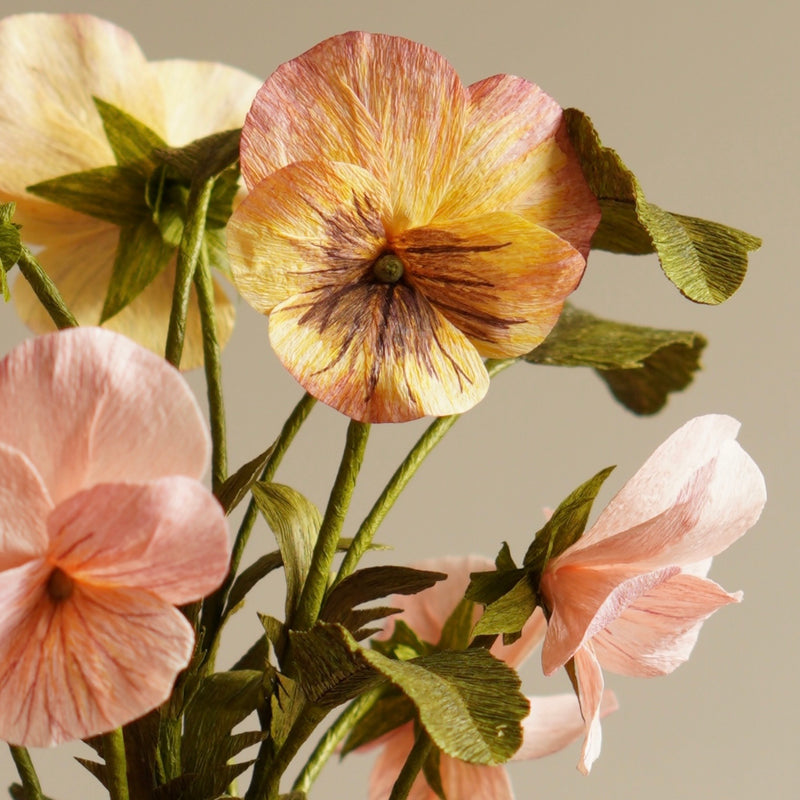 Paper pansy flower with hand-painted veining in soft apricot and plum tones, set against muted background