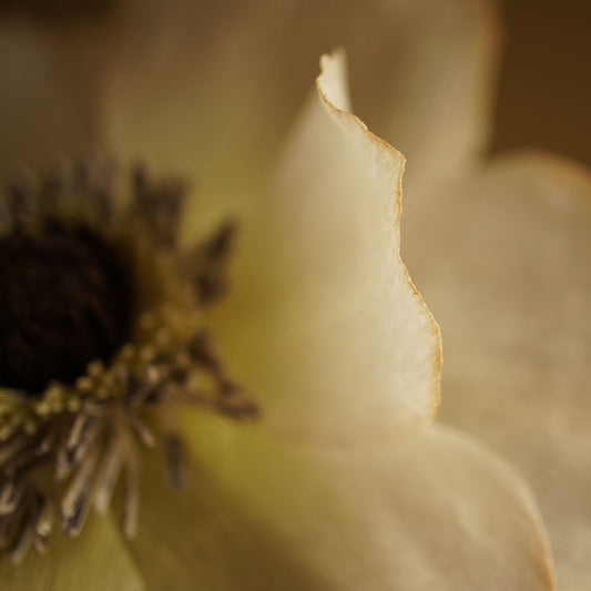 Close up of the petal edge and centre of a handcrafted paper anemone flower