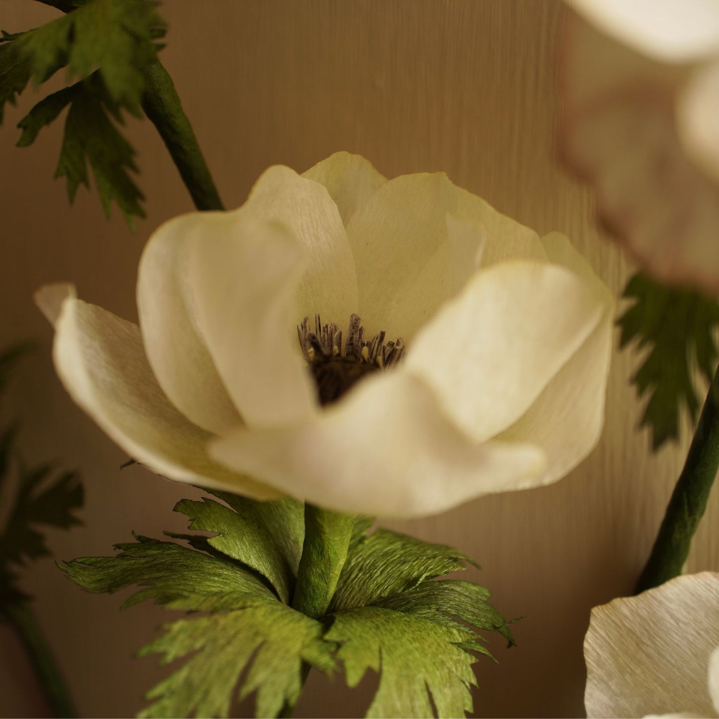 Close up of a partially opened paper anemone flower within the framed artwork