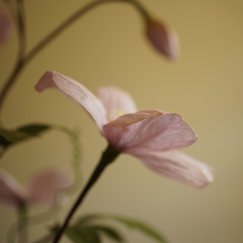 Soft lilac handcrafted paper clematis against a muted background
