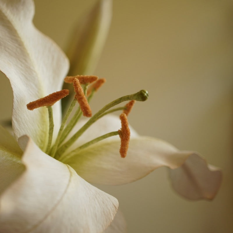Close up of handcrafted white paper lily with detailed stamens and gently curved petals