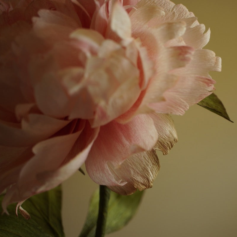 Close up detail of a handcrafted pink paper peony showing layered petals and soft colour variation