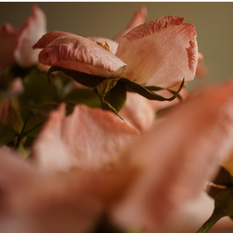 Soft pink handcrafted paper rose viewed from beneath, showing layered petals and foliage