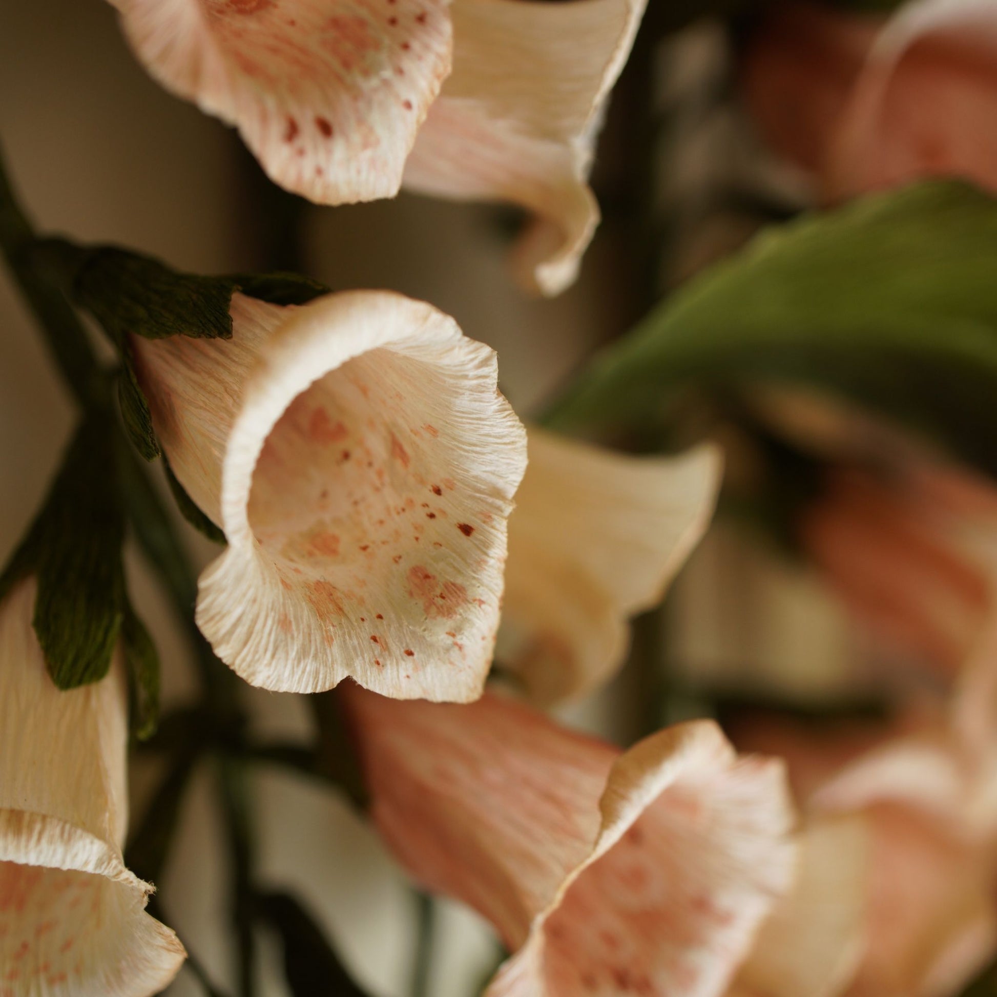 Close up of handcrafted paper foxglove flowers with speckled interiors and softly curled petals