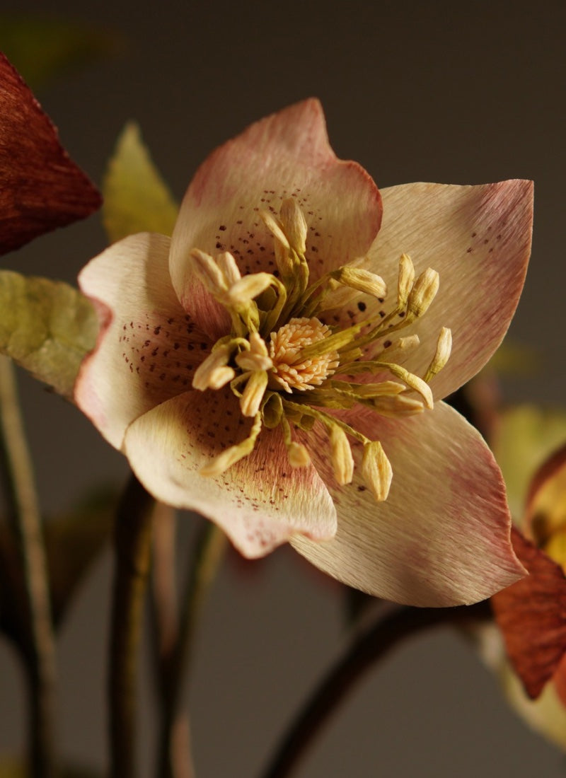 Handcrafted paper hellebore flower in soft blush tones, showing detailed stamens and gently curved petals