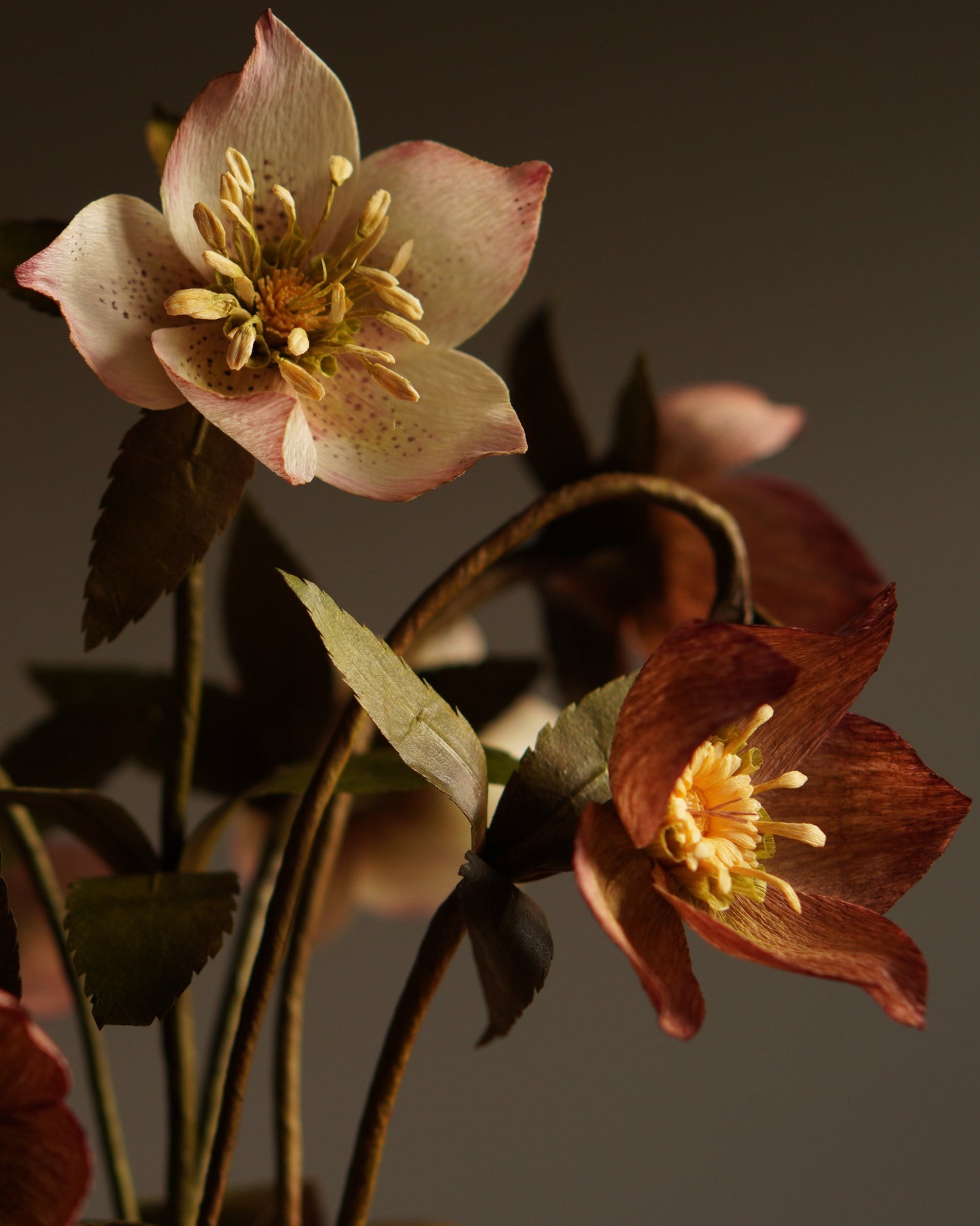 Angled view of paper hellebore sculpture showing multiple stems, blooms and foliage