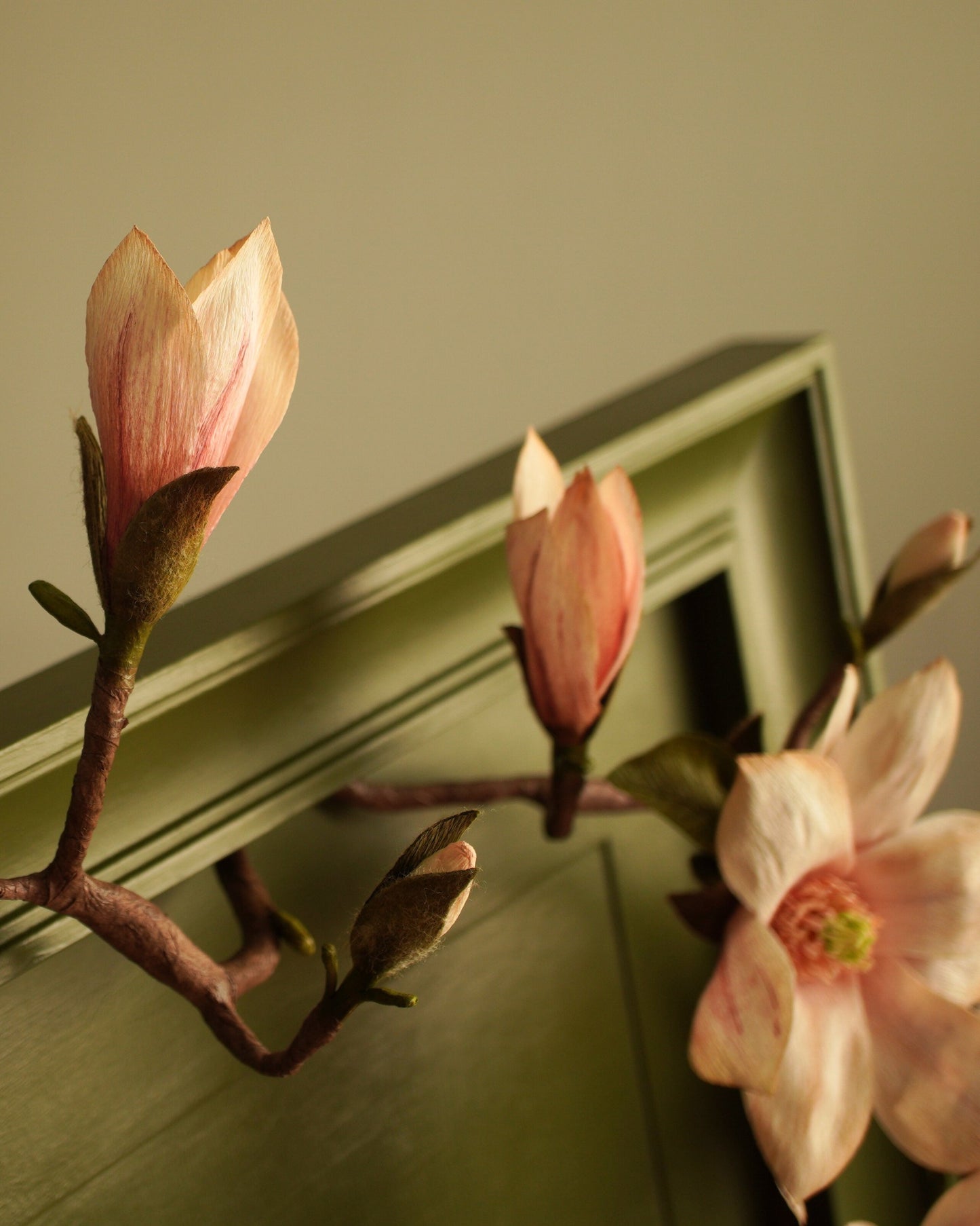Close view of paper magnolia buds and branch showing form and structure