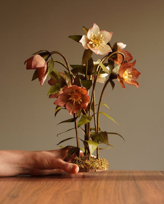 Hand holding paper hellebore botanical sculpture showing scale and wood slice base