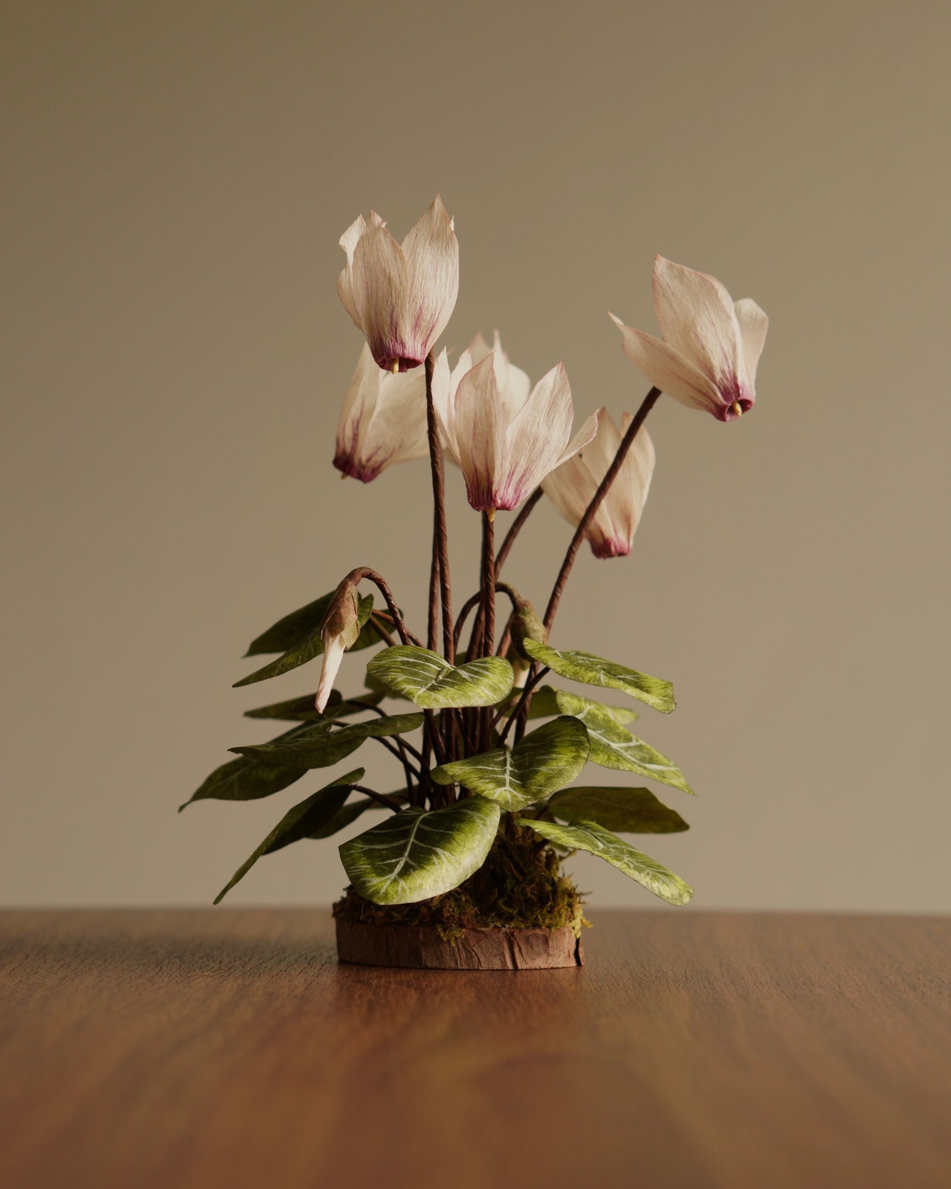 Paper cyclamen sculpture displayed on wooden surface with layered foliage and blooms