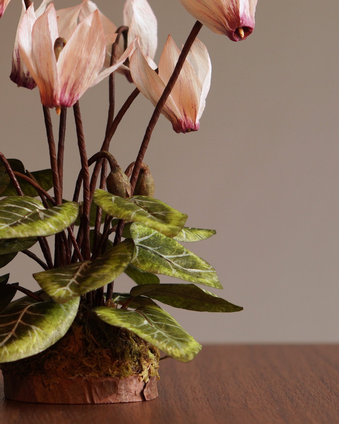 Side view of paper cyclamen sculpture showing foliage, stems and moss-covered base