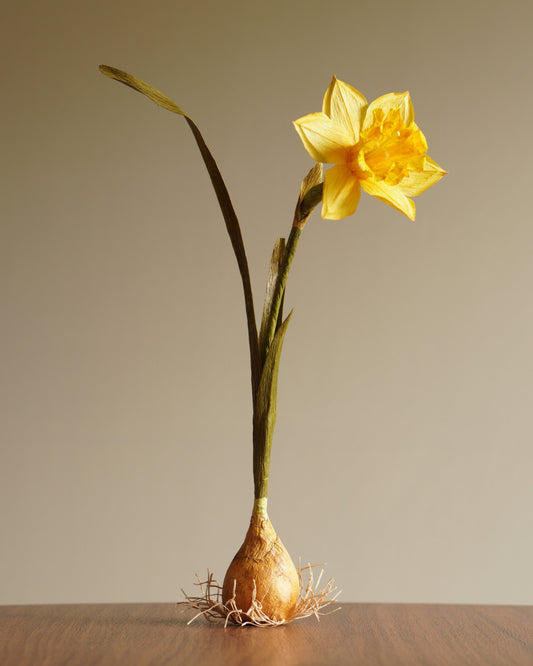 paper daffodil botanical sculpture with classic yellow trumpet bloom standing in bulb base on wooden surface