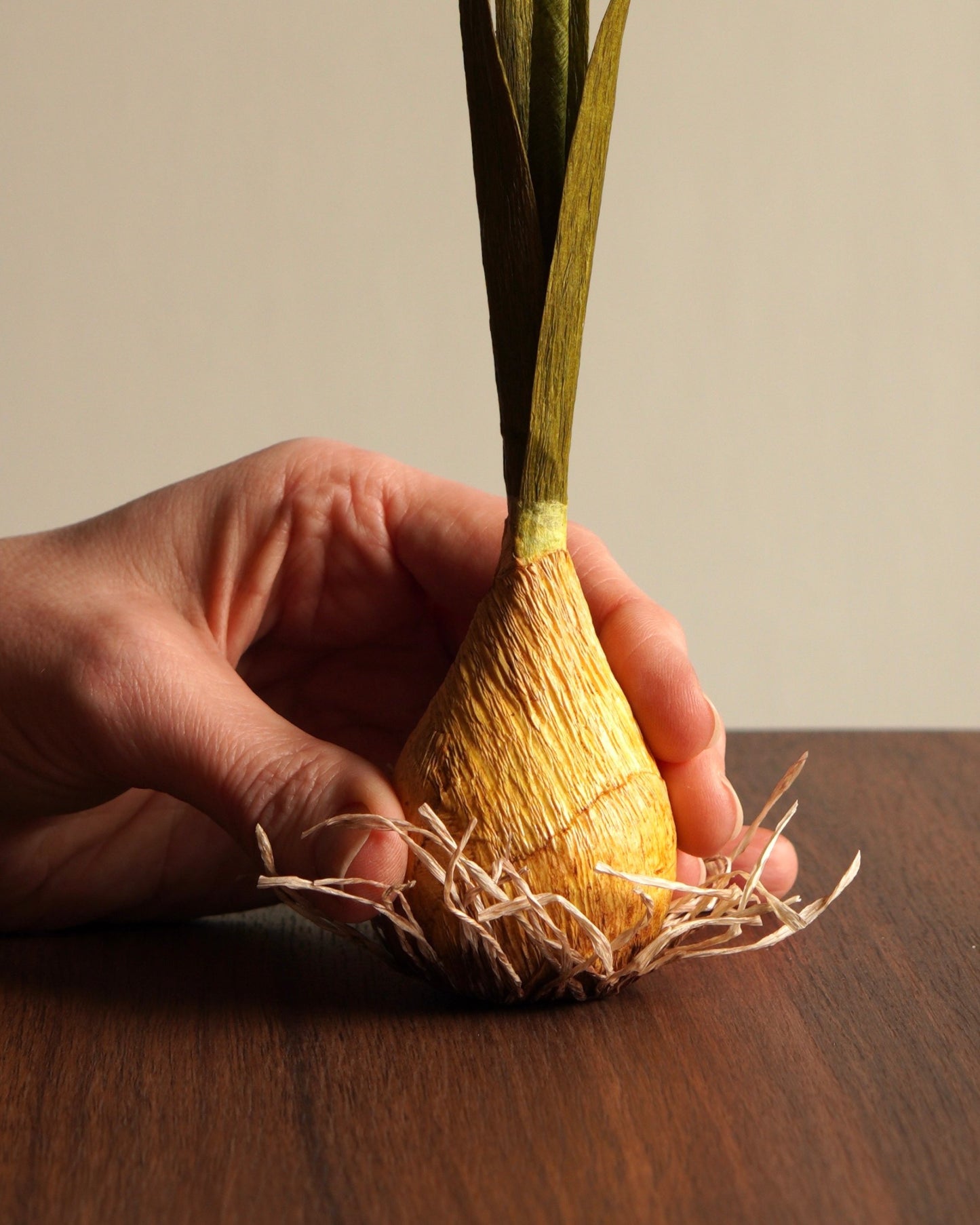 paper daffodil sculpture bulb base with root detail held in hand