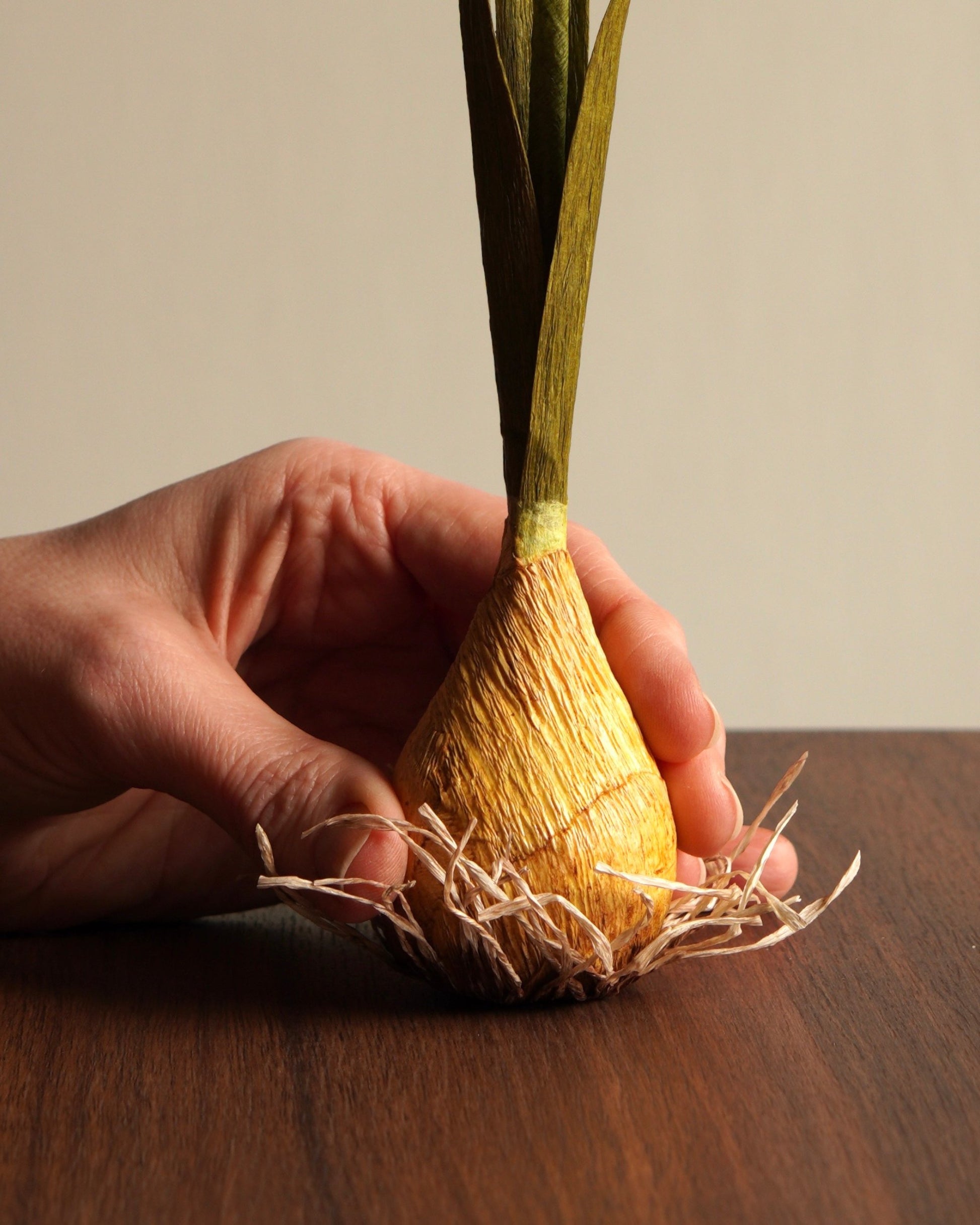 paper daffodil sculpture bulb base with root detail held in hand