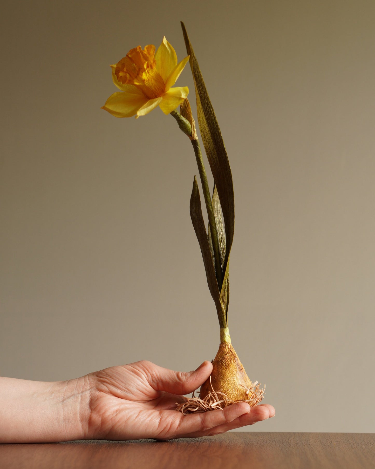 paper daffodil sculpture bulb base with root detail held in hand