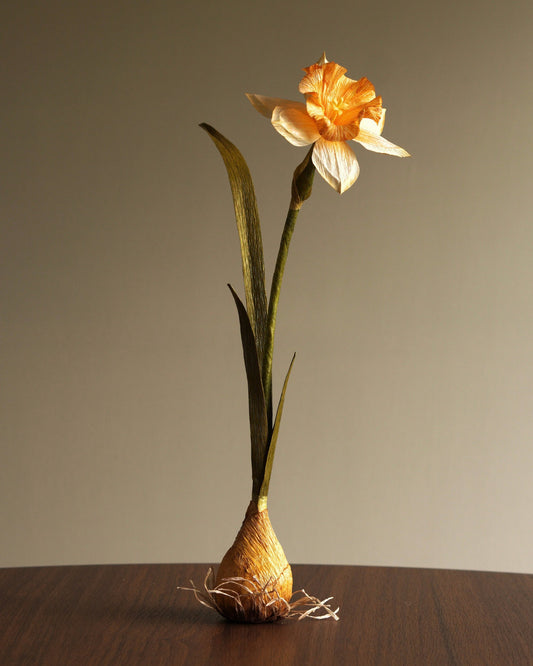 Paper daffodil botanical sculpture with wide trumpet bloom standing in bulb base with root detail