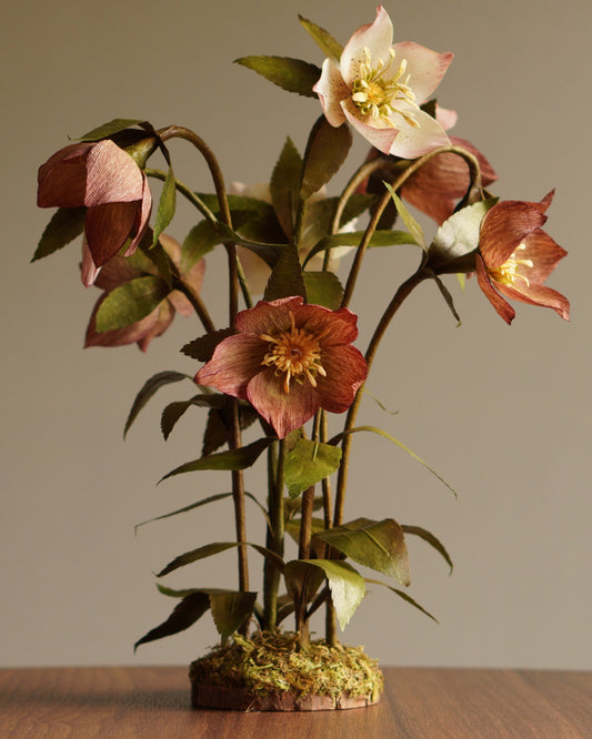 Paper hellebore botanical sculpture with multiple blooms and moss-covered wood slice base on wooden surface