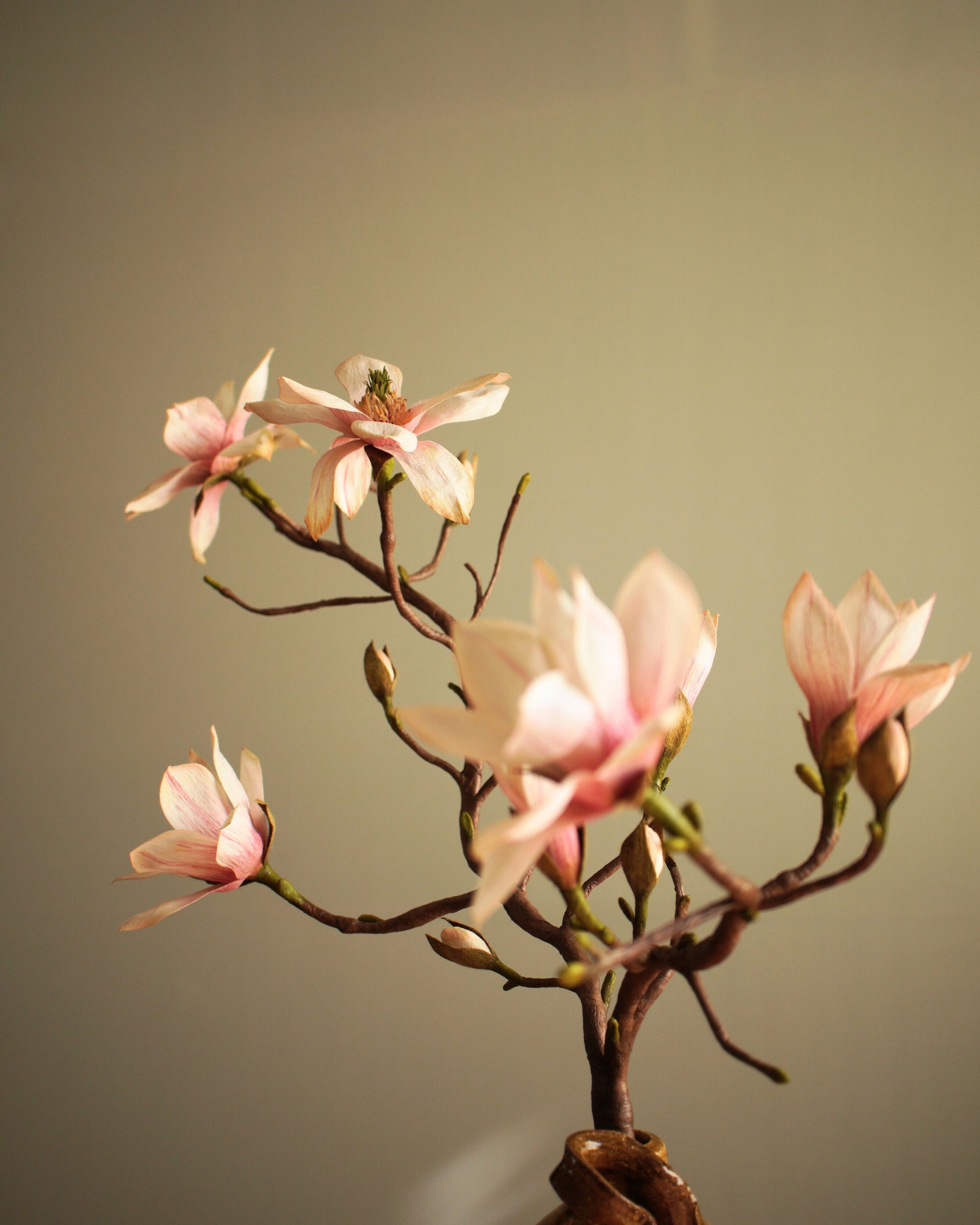 Paper magnolia branch showing multiple blooms and buds along branching structure