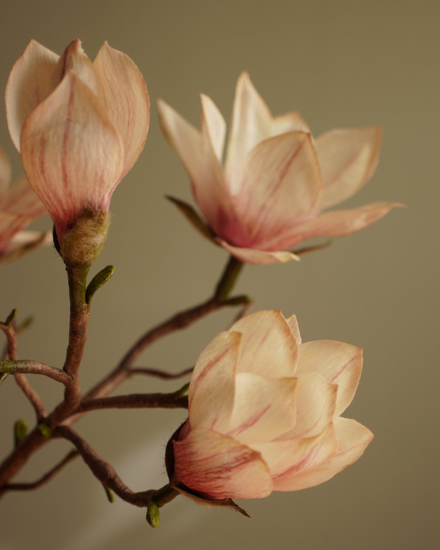 Side view of magnolia bloom in paper with layered petals and subtle colour variation