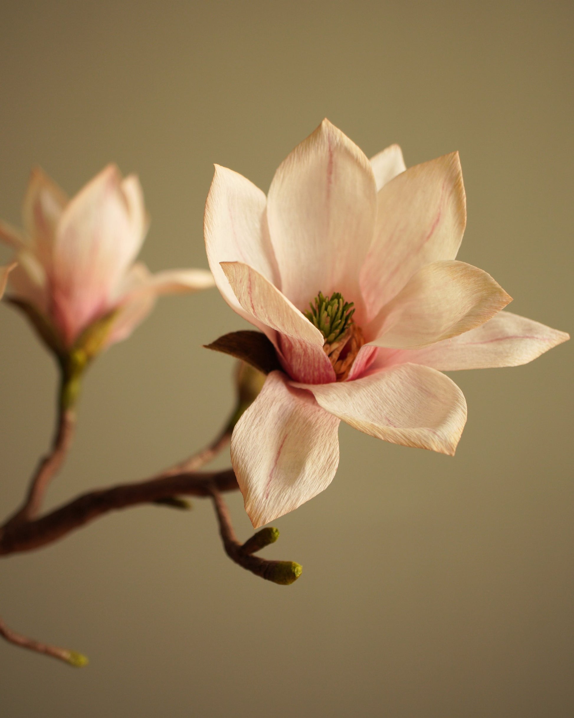 Close view of paper magnolia flower showing petal shape and centre detail