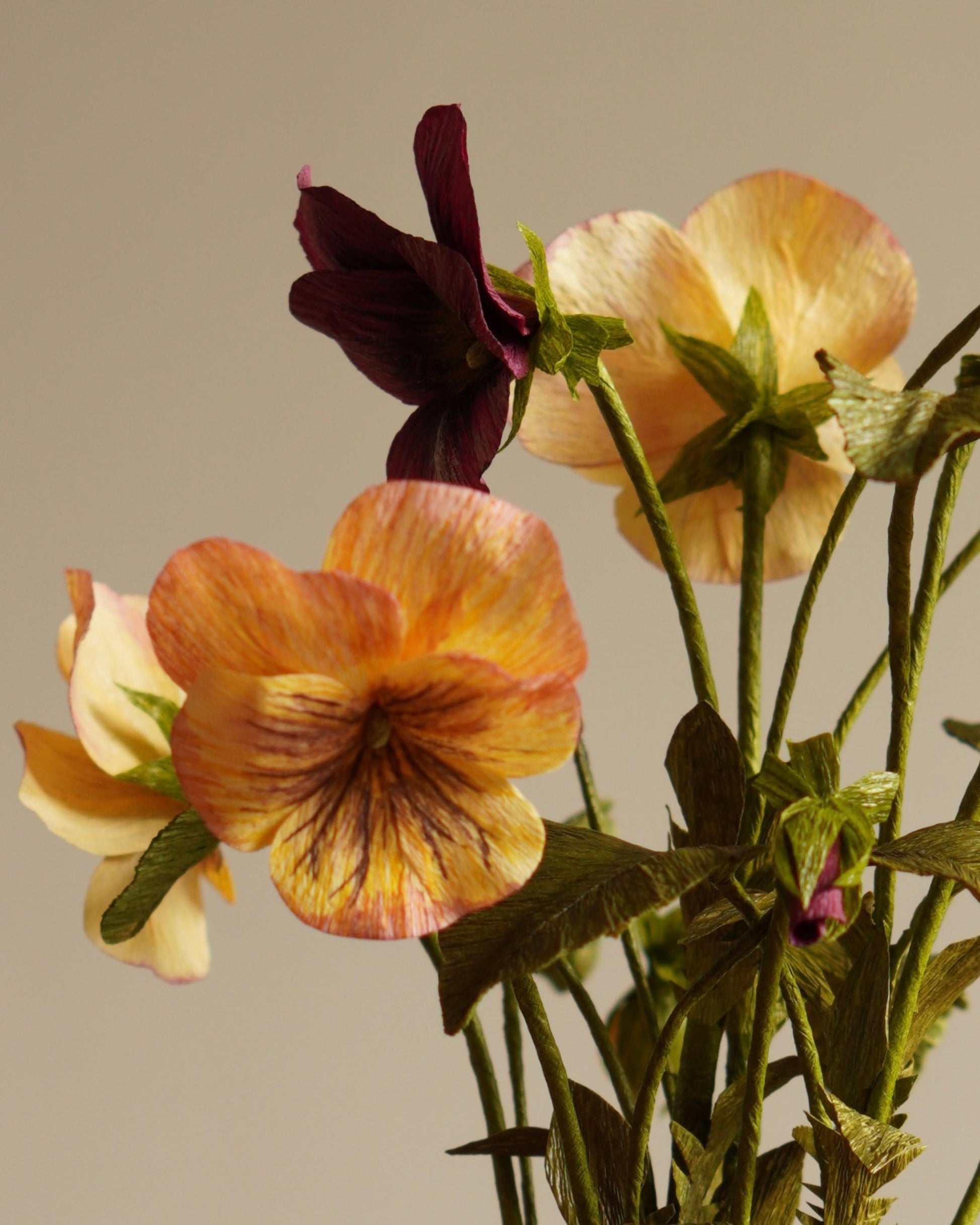 Close-up of yellow and deep purple paper pansy flowers showing contrast and centre detail